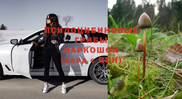 2c-b Алексин