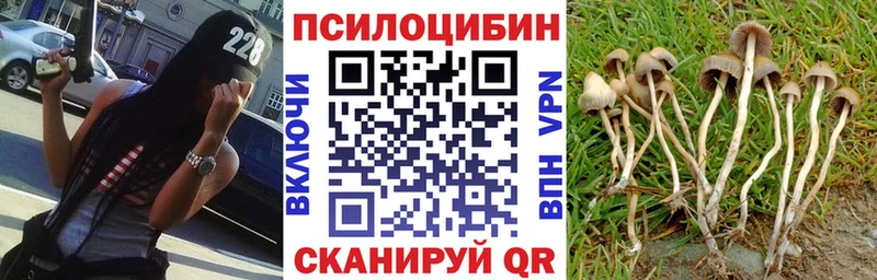 Галлюциногенные грибы мицелий  сколько стоит  гидра как зайти  Алушта 